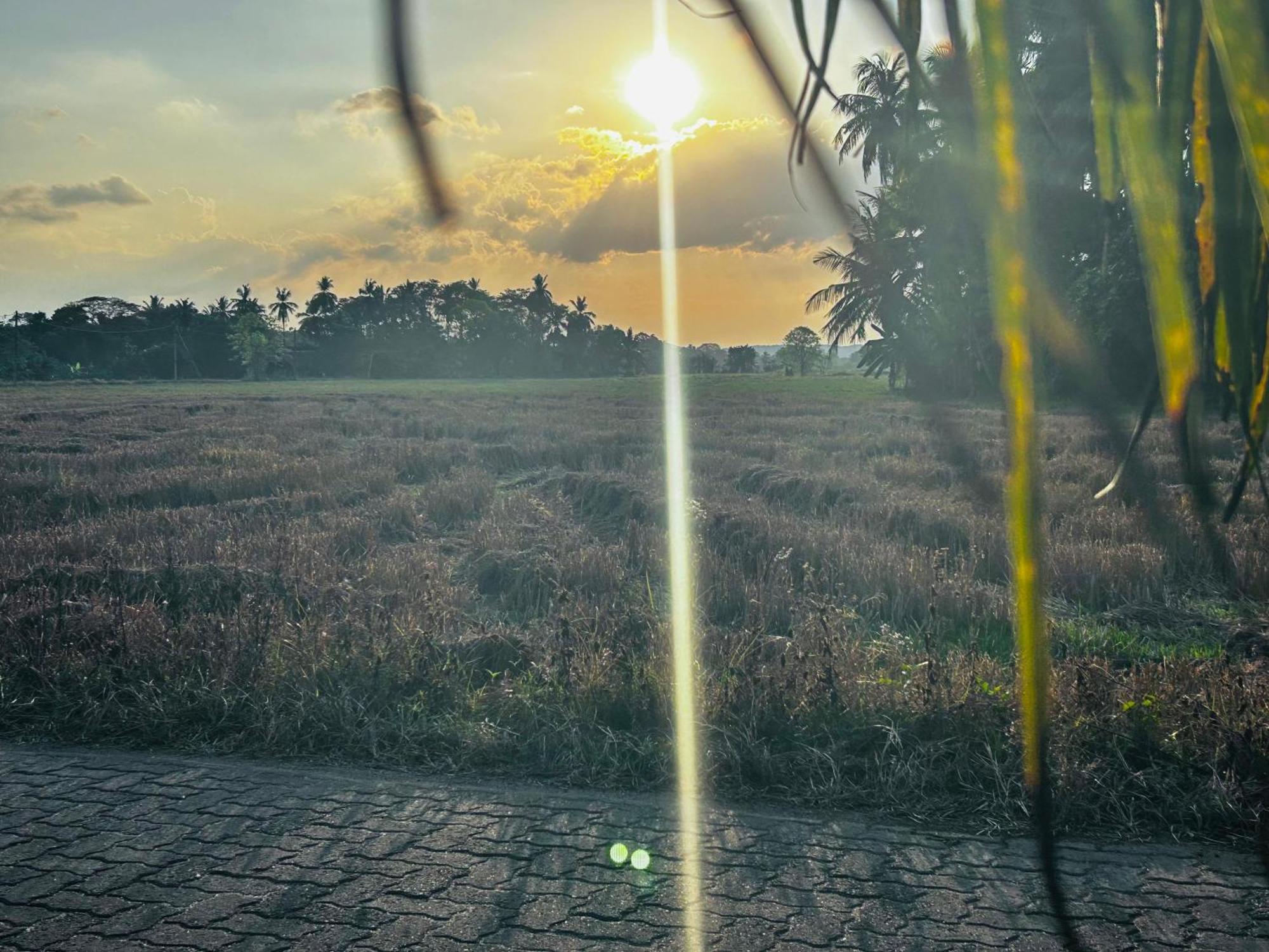 Windy Villa Polonnaruwa Exteriér fotografie