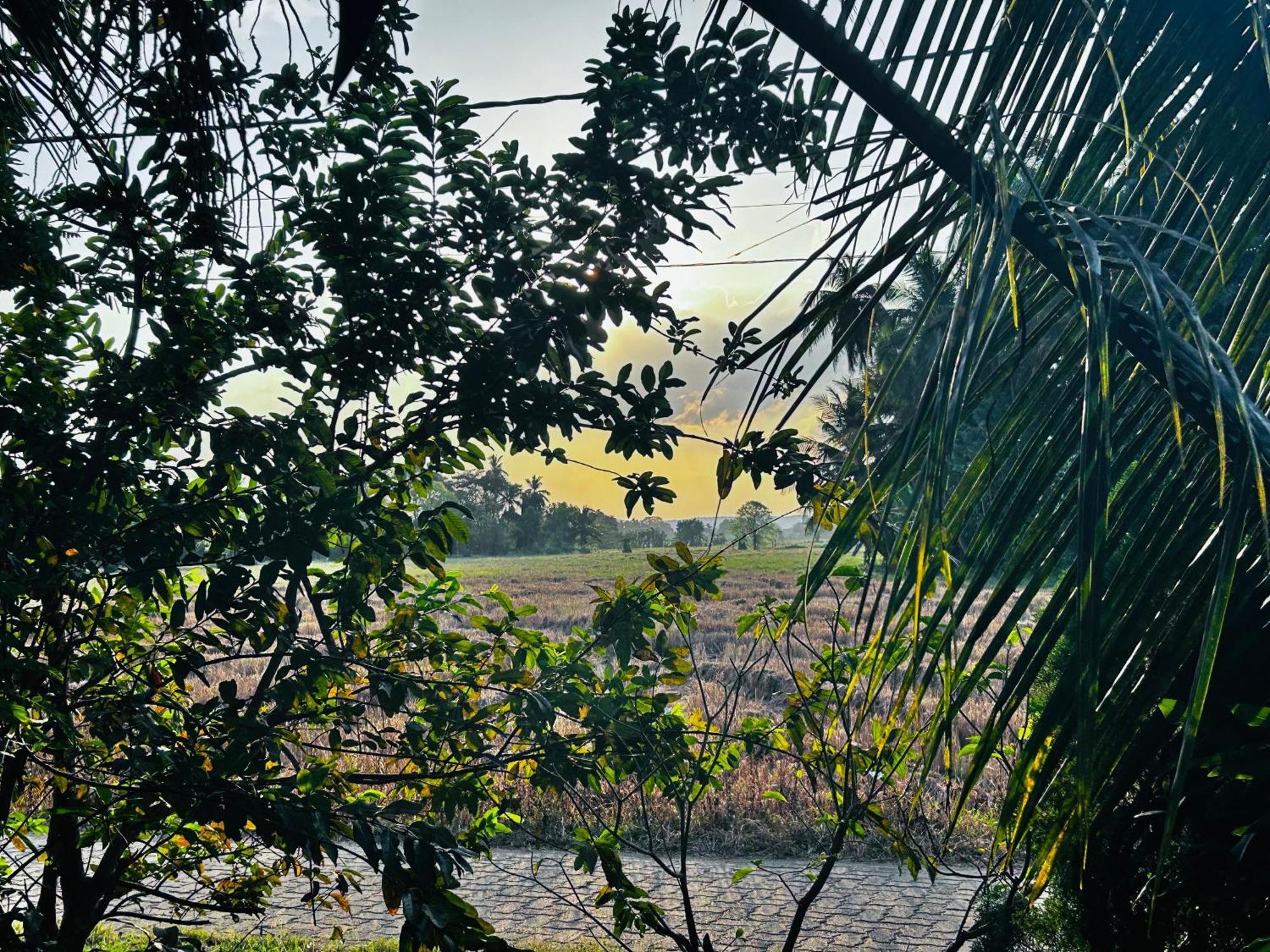 Windy Villa Polonnaruwa Exteriér fotografie