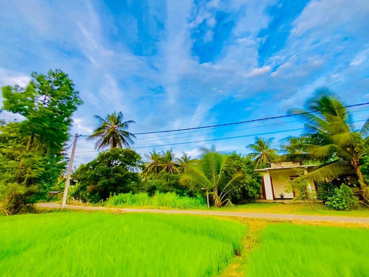 Windy Villa Polonnaruwa Exteriér fotografie