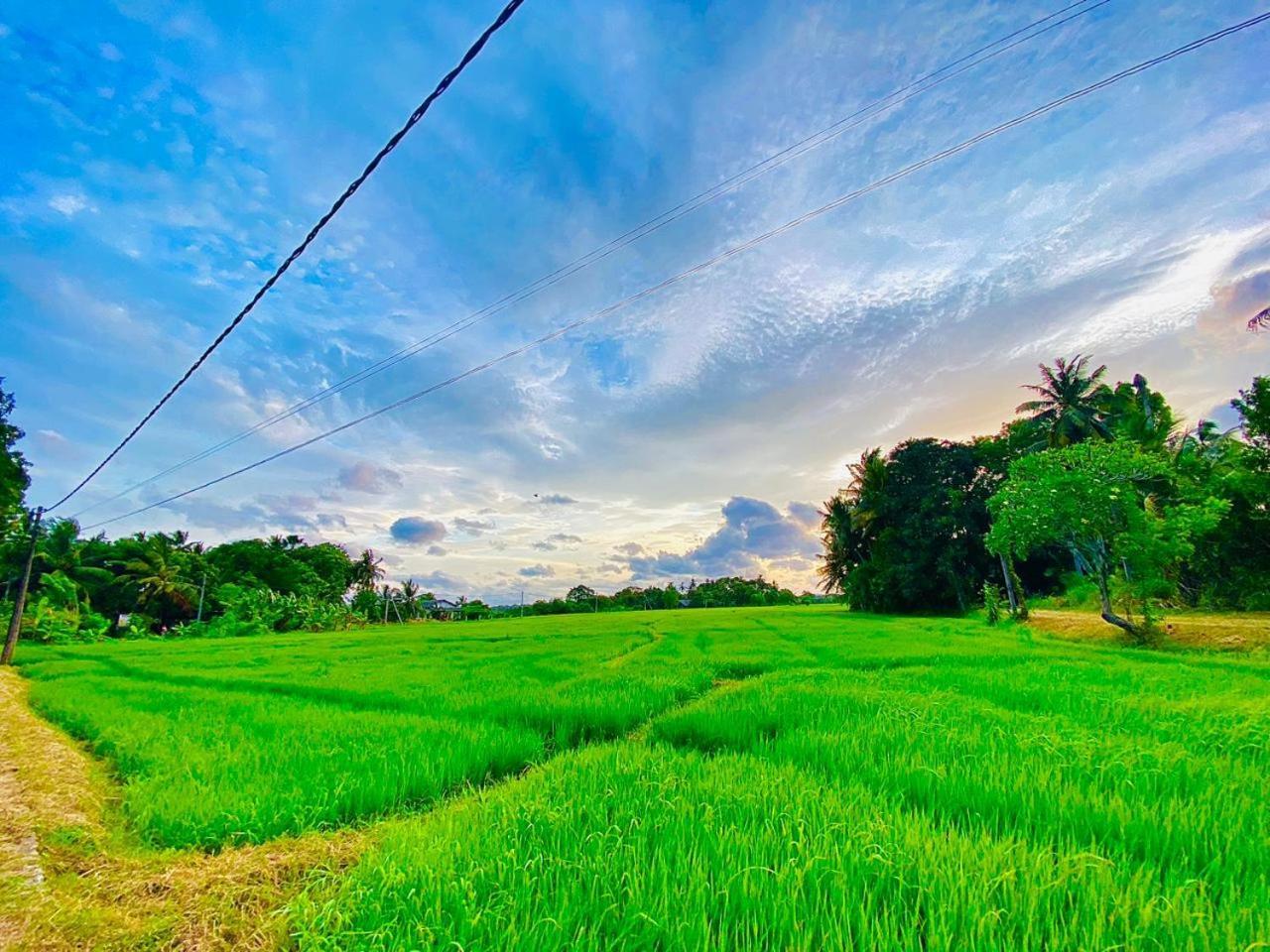 Windy Villa Polonnaruwa Exteriér fotografie